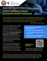 AI for Brand Protection Professionals Training Overview